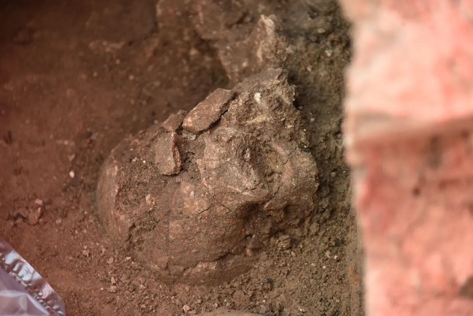 #3 - Miners Panicked When They Found a Human Skull in a Tailings Dump (By Osama Shukir Muhammed Amin FRCP(Glasg), CC BY-SA 4.0)