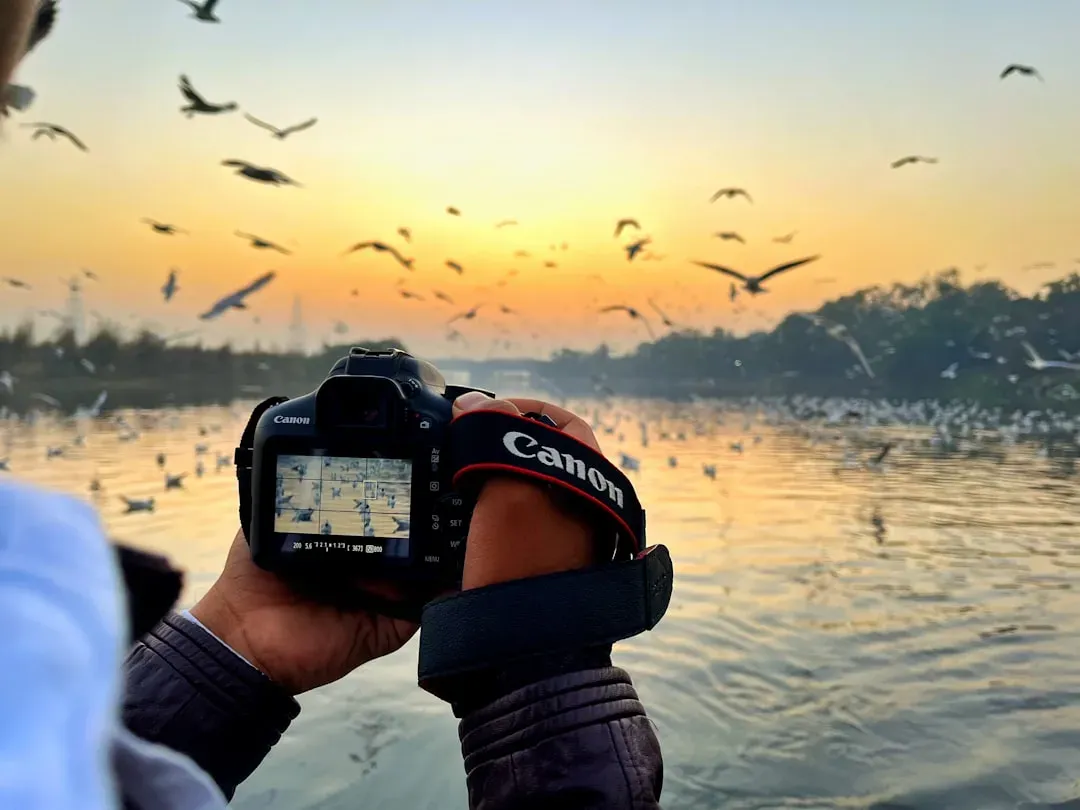 Conclusion: Matching the Camera to Your Birding Reality (Image Credits: Unsplash)