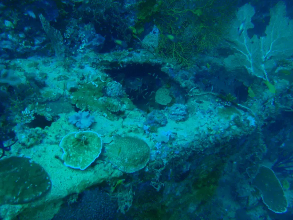 They Contain More Shipwrecks Per Square Mile Than Any Other Waters on Earth (Image Credits: Flickr)