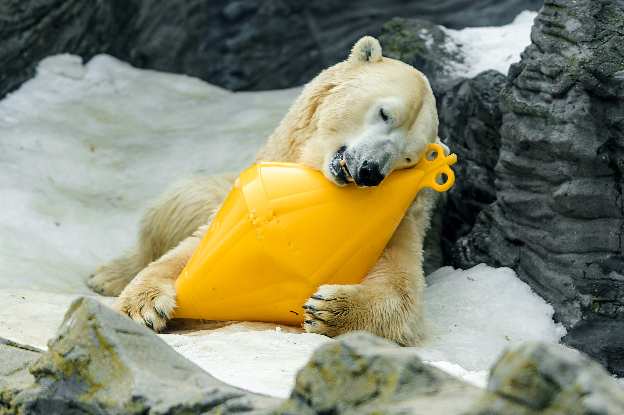 The Hidden Clues (Image Credits: Wikimedia)