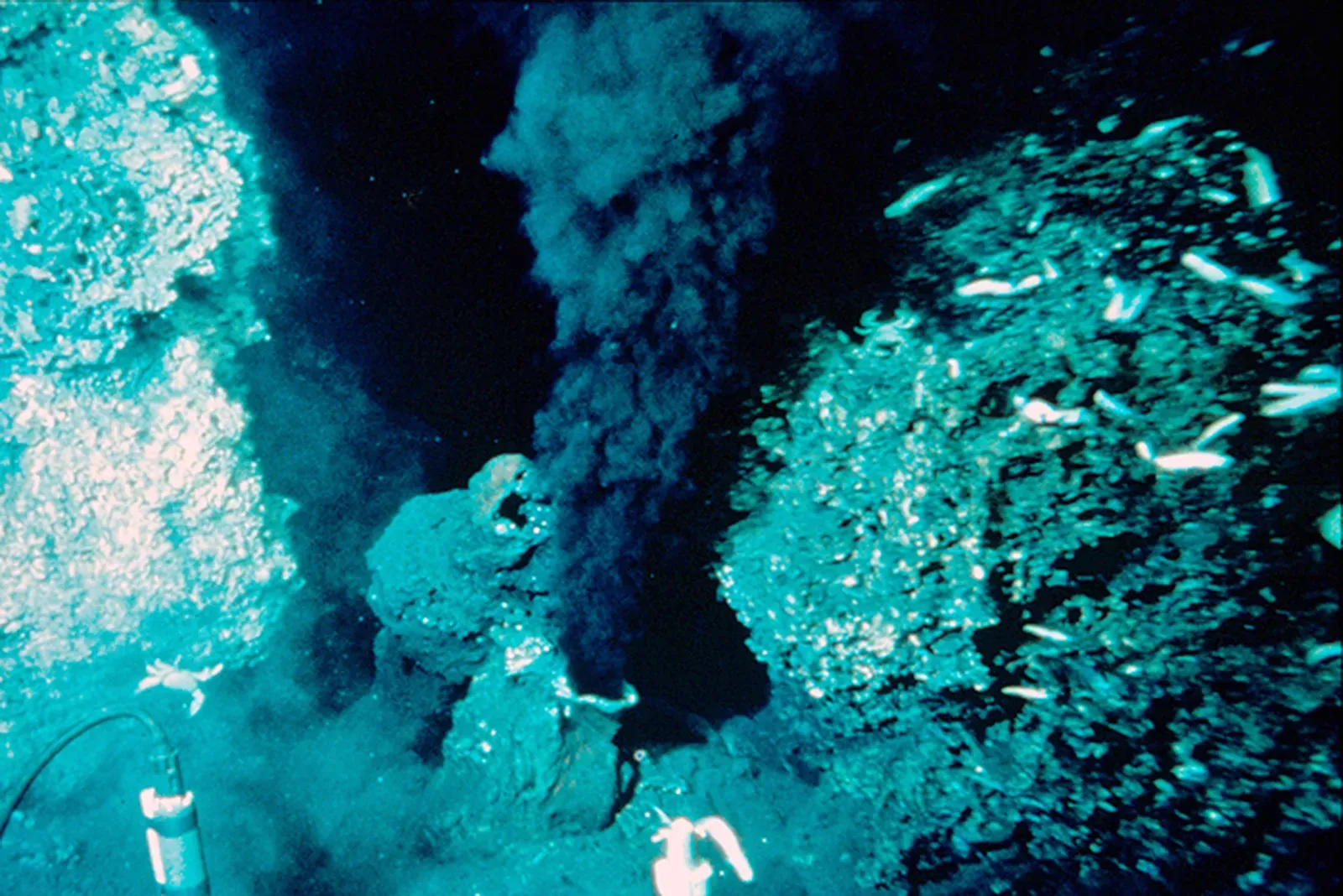 Hydrothermal Vents: Alien Landscapes on Our Own Planet (Image Credits: Wikimedia)