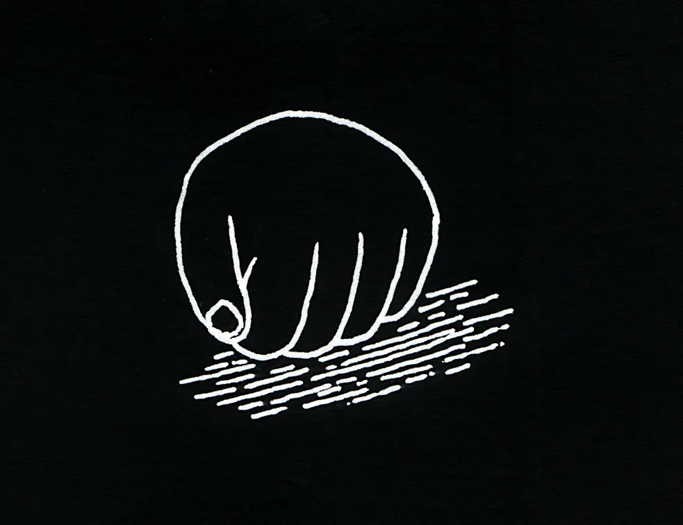 Why Knocking on Wood Refuses to Die Out (Image Credits: Wikimedia)