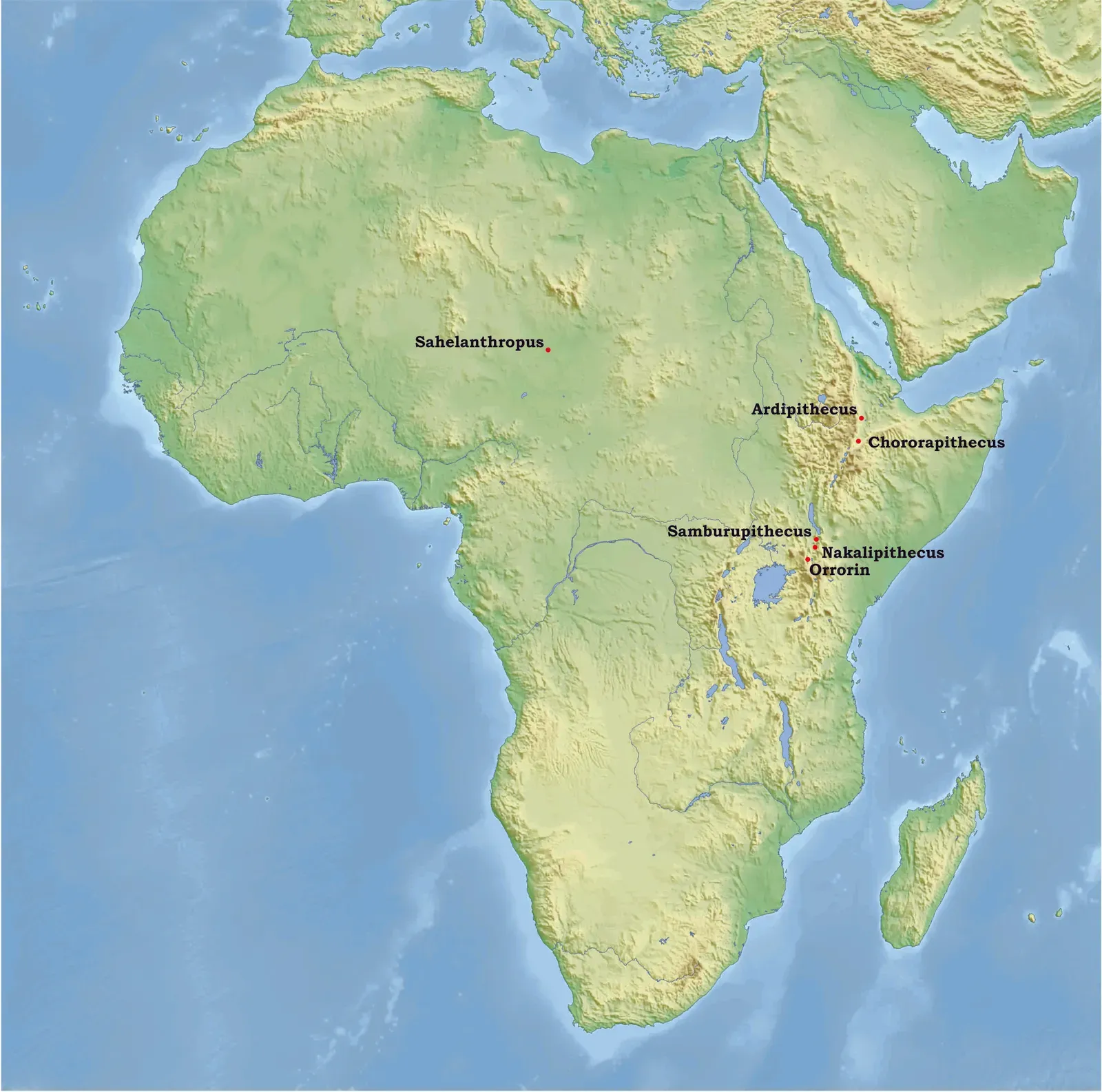 #3 - Our Species Didn't Have One Single Birthplace (By Chartep, CC BY-SA 3.0)