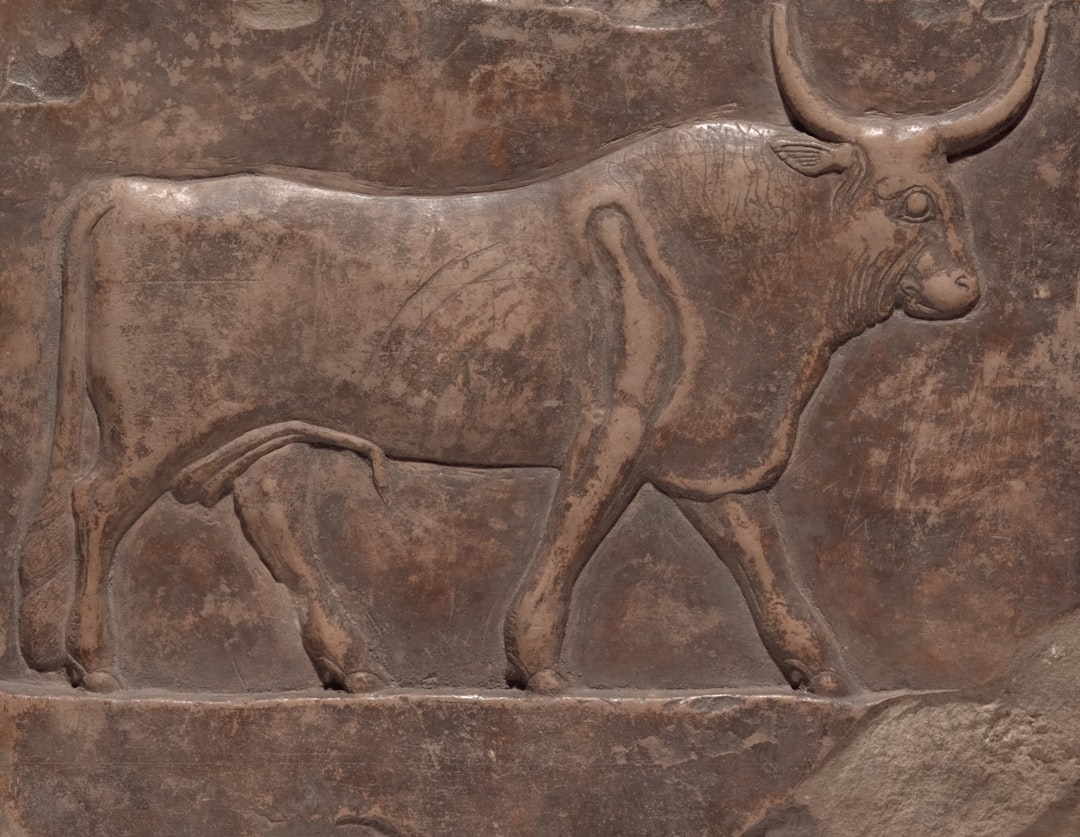 From Ancient Tools to Modern Science (Image Credits: Unsplash)
