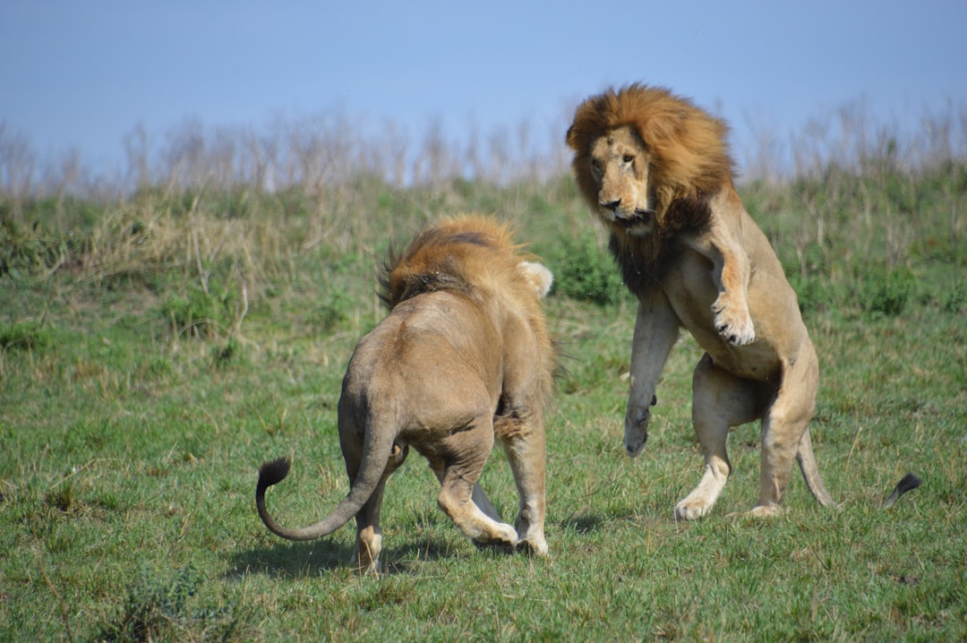 Territorial Challenges and Confrontations (Image Credits: Unsplash)