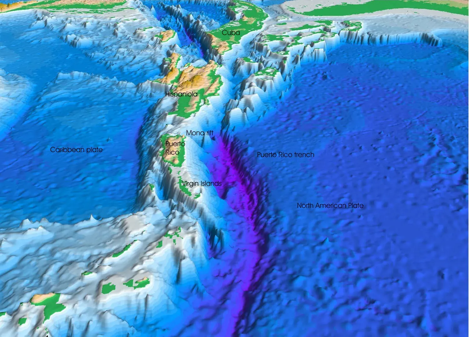 #5 - Life (And Water) In Ultra-Deep Trenches We Barely Understand (Project PROBE Leg II - Final Report and Archive of Swath Bathymetric Sonar, CTD/XBT and GPS Navigation Data Collected During USGS Cruise 03008 (NOAA Cruise RB0303) Puerto Rico Trench 18 February - 7 March, 2003. USGS Open-File Report 2004-1400. 2005.Originally from en.wikipedia; description page is/was here., Public domain)