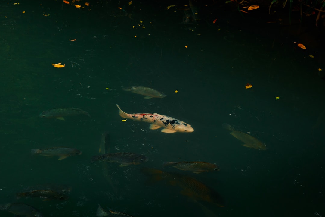 How You Can Help (Image Credits: Unsplash)