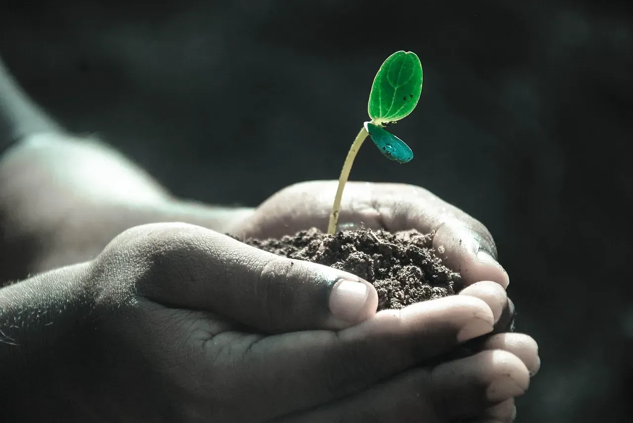 The Bottom Line (Image Credits: Pixabay)