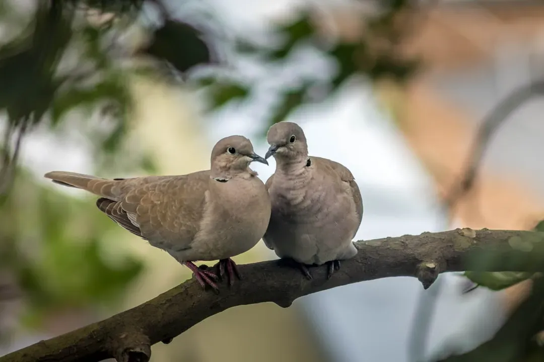 5. They Are Surprisingly Devoted Partners (Image Credits: Unsplash)