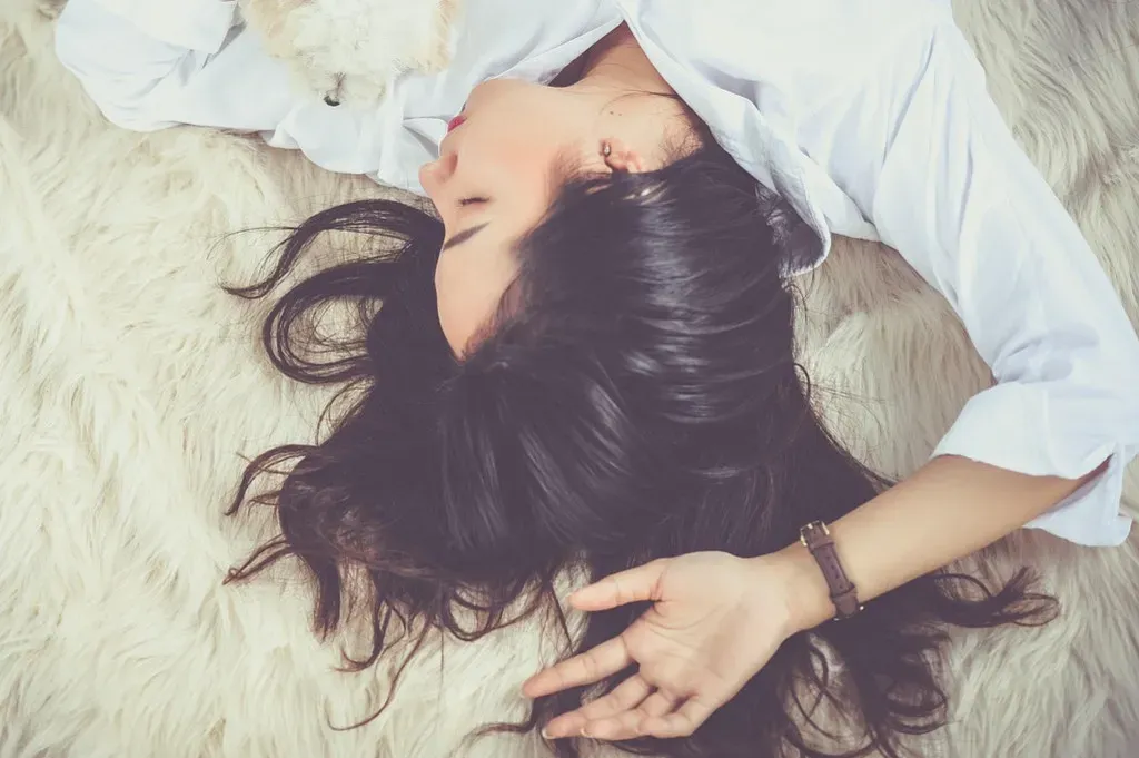 The Master Clock In Your Brain (Image Credits: Pixabay)