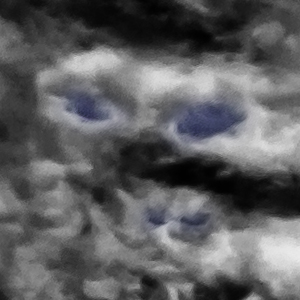 Pareidolia as a Creativity Booster (Image Credits: Wikimedia)