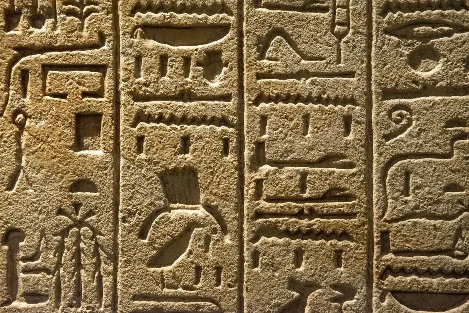 The Bottom Line (Image Credits: Pexels)