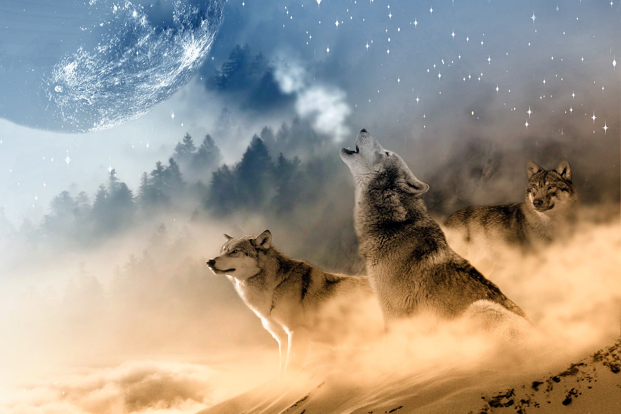 Conclusion (Image Credits: Pixabay)