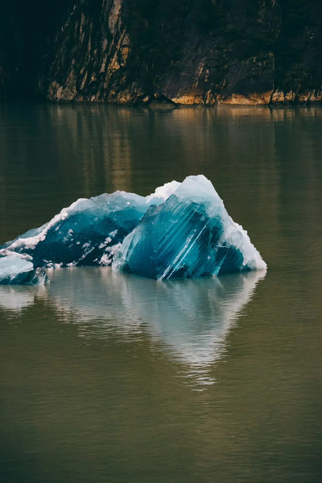 The Unexpected Freedom and a Dizzying Dance (Image Credits: Unsplash)