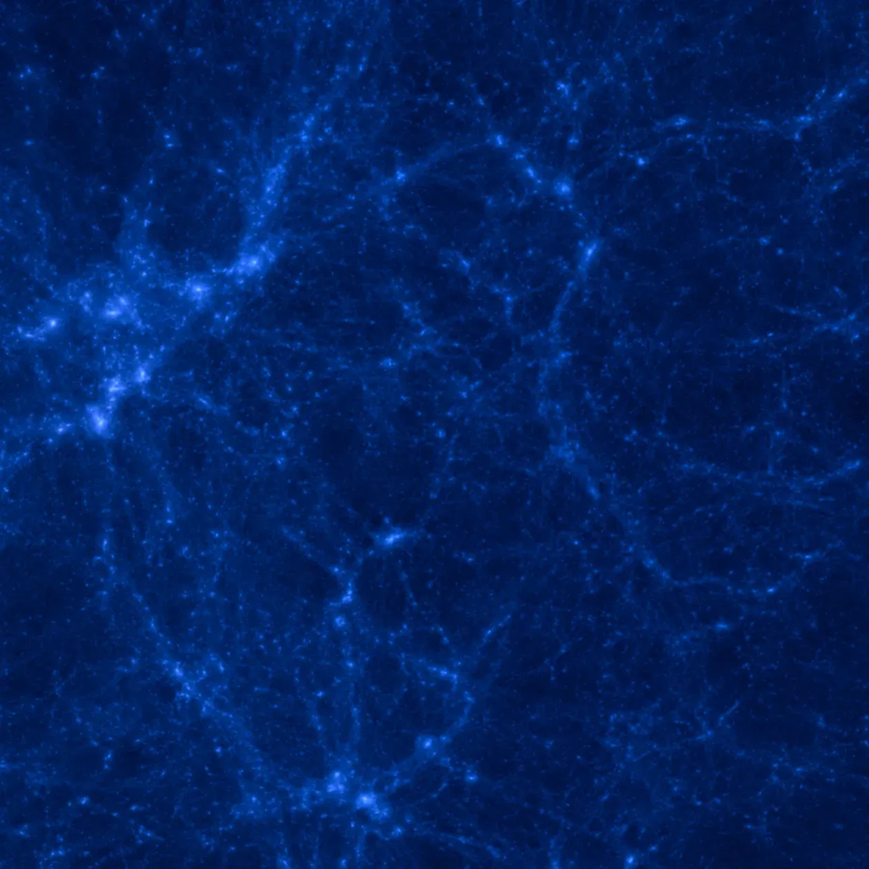 The Hidden Clues in Nature’s Shapes (Image Credits: Wikimedia)