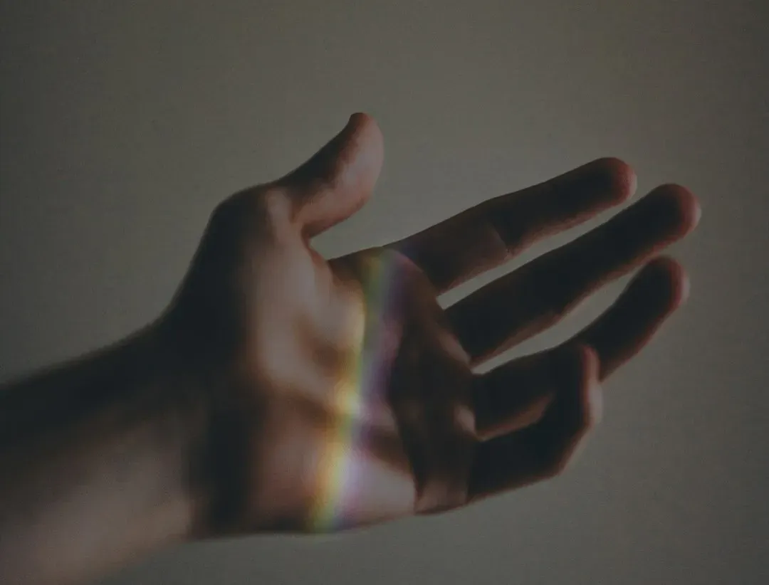 Regeneration Has Limits – But Also Possibilities (Image Credits: Unsplash)