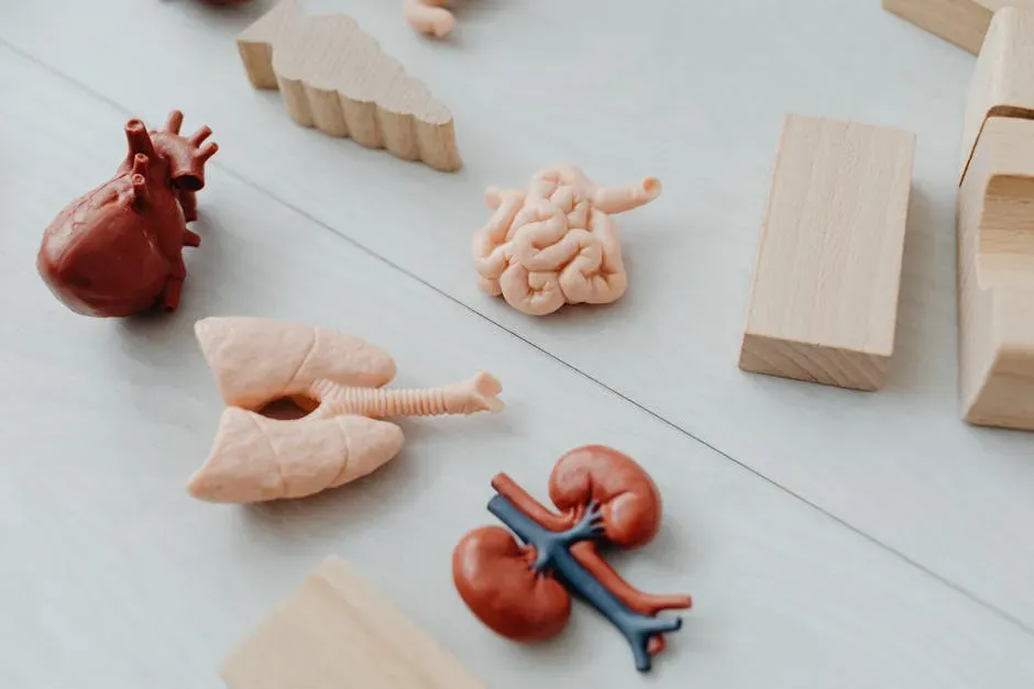 When Systems Fail: How Organs And Networks Break Down (Image Credits: Pexels)