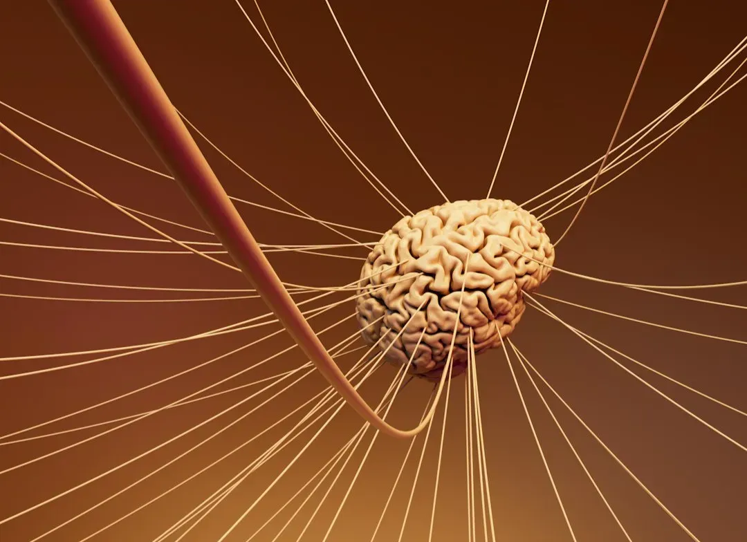 Psychedelics and the Brain: Rethinking Treatment and Consciousness (Image Credits: Unsplash)