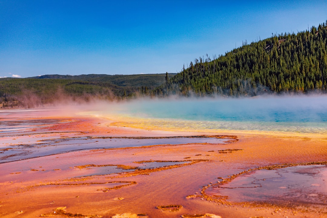 Yellowstone National Park's Living Ground (Image Credits: Unsplash)