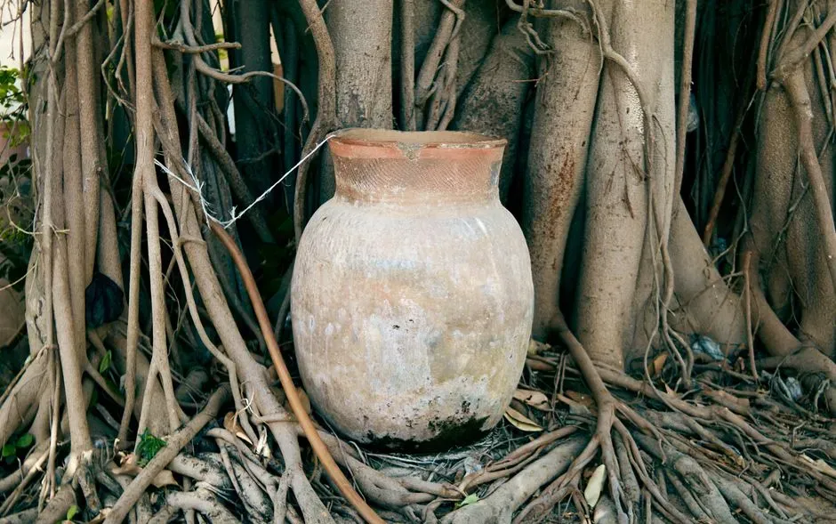 Conservative Explanations: Storage Jar, Scroll Container, or Something Else? (Image Credits: Pexels)