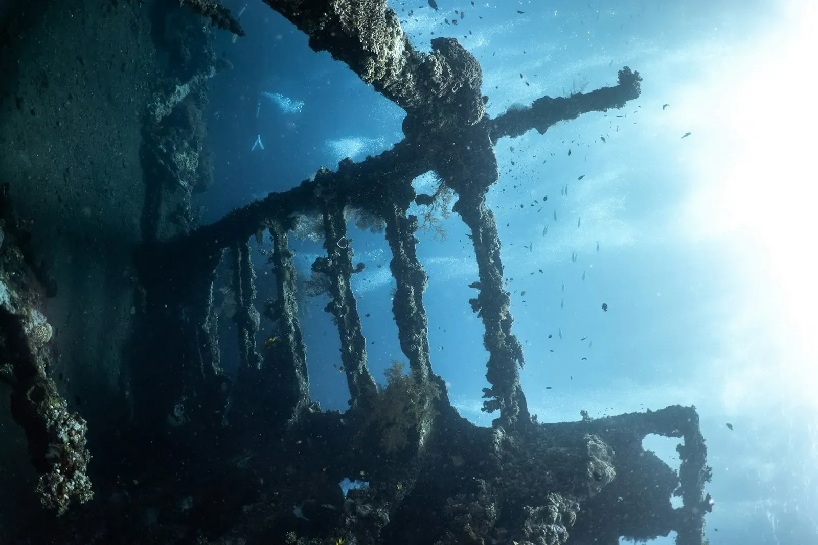 #1 - The Silver Ship That Sat Untouched for 70 Years (Image Credits: Unsplash)