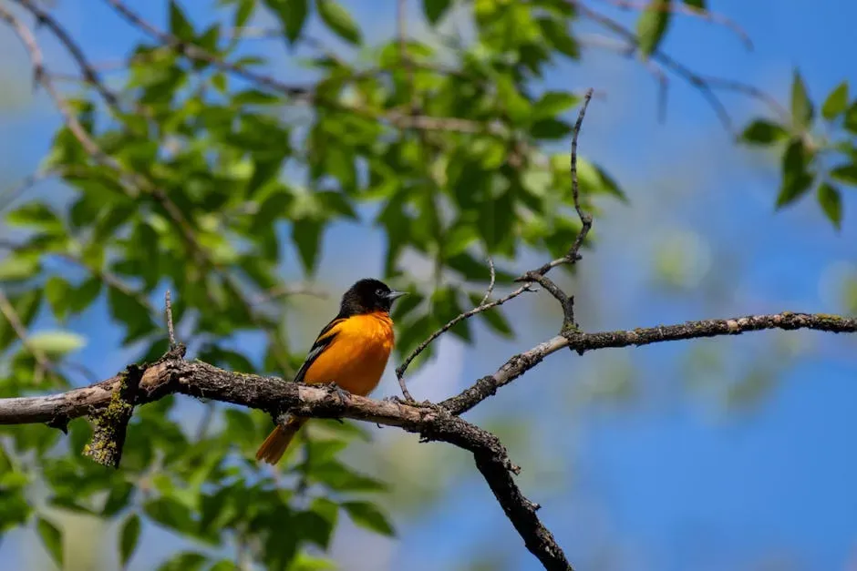 10. They Turn Ordinary People Into Passionate Bird Nerds (Image Credits: Pexels)