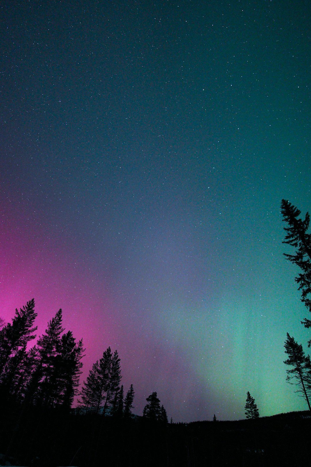 Why These Mysteries Matter for the Rest of Us (Image Credits: Unsplash)