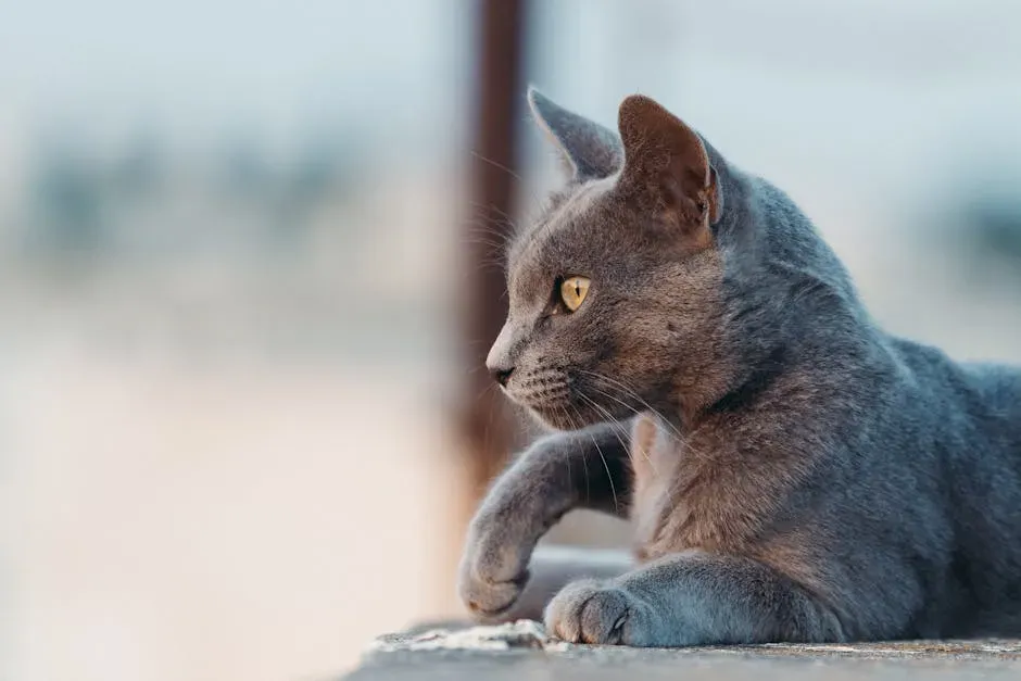 Conclusion: One Life, Nine Stories (Image Credits: Pexels)