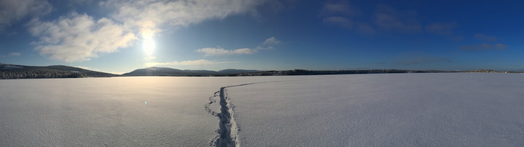 Montana's Bull Lake and Glacier Region (Image Credits: Unsplash)