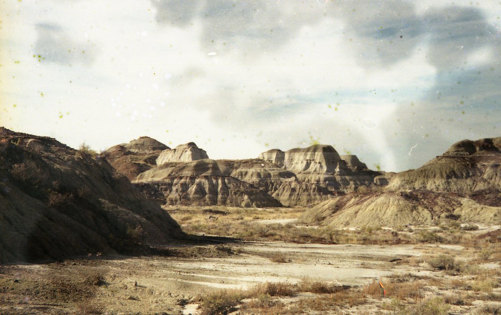 Understanding Desert Ecological Connections (Image Credits: Flickr)