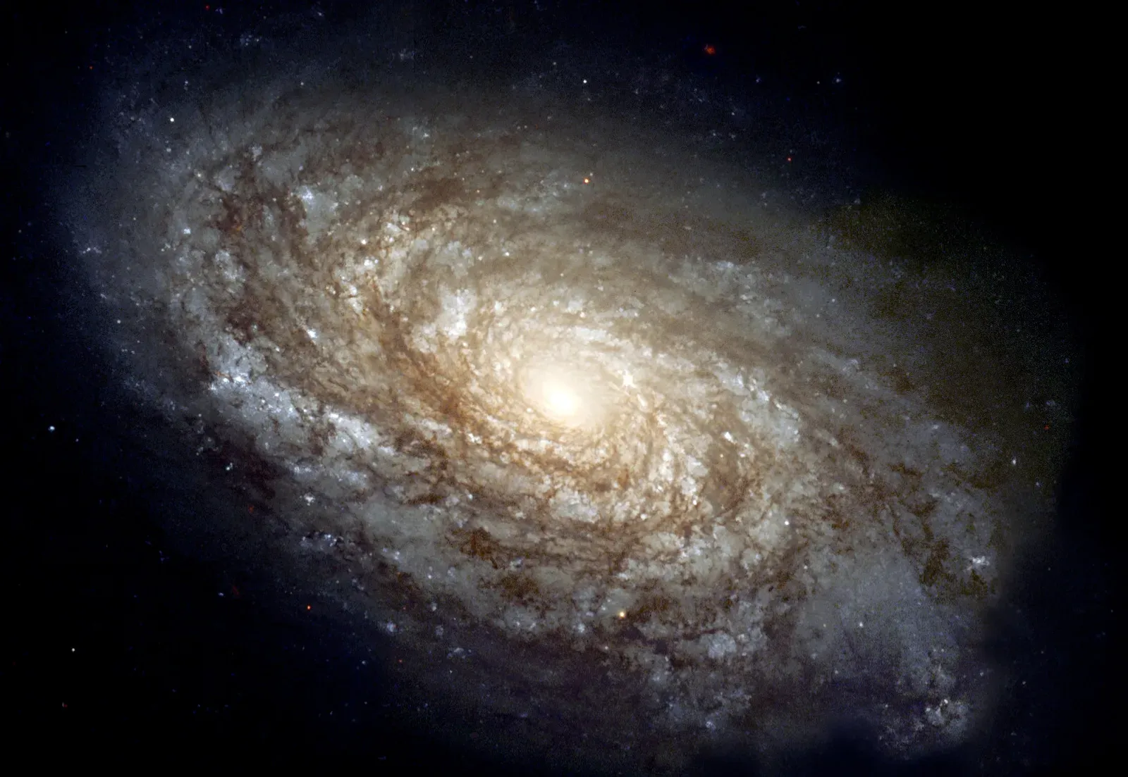 Why Some Galaxies Look So Different in the Early Universe (Image Credits: Wikimedia)