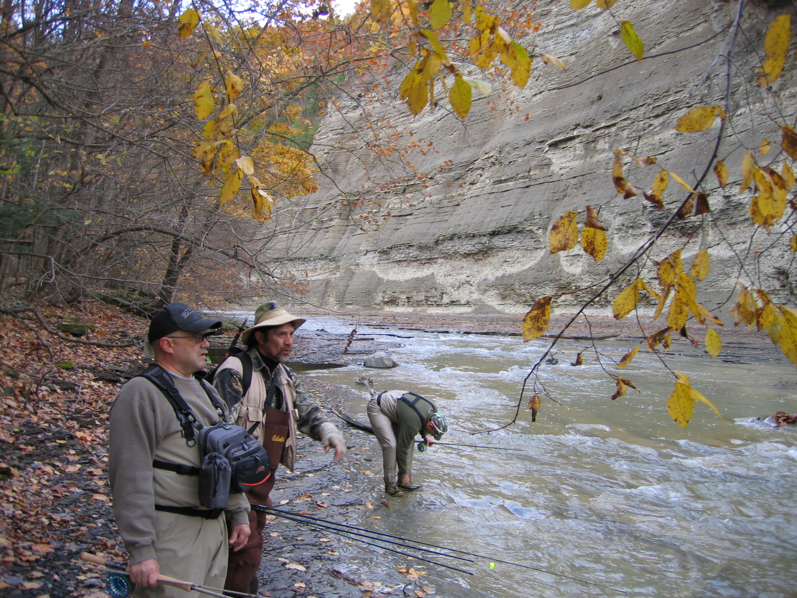 Help Turn Animal Insight into Early Warning (Image Credits: Wikimedia)