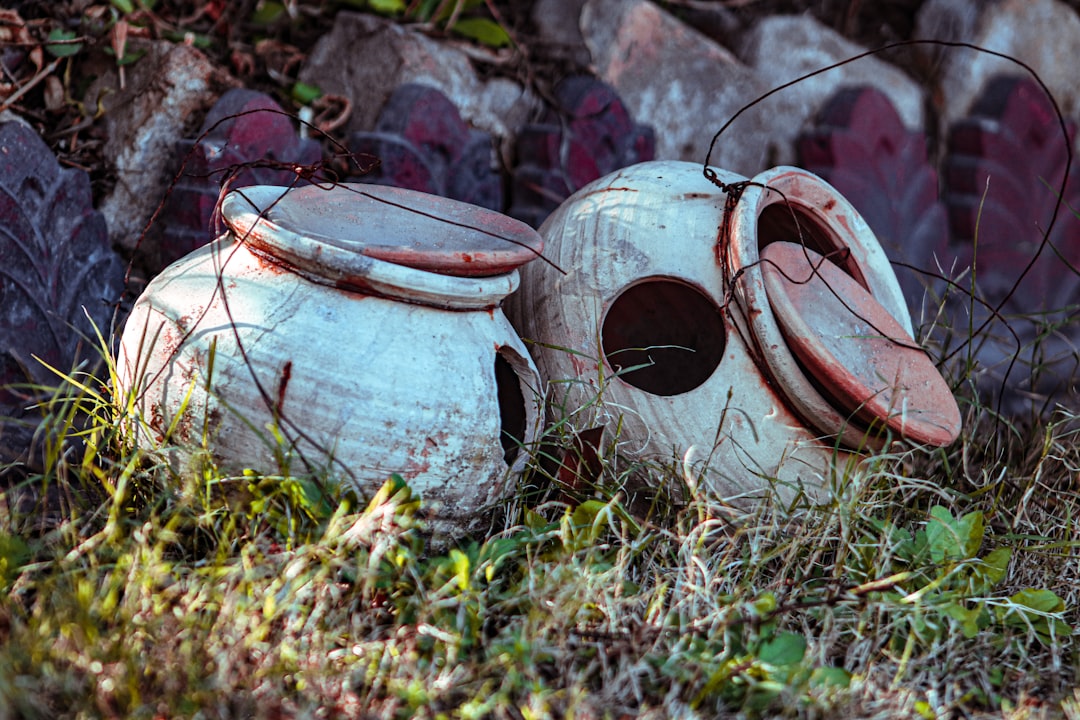 The Amazon Spheres: Mysterious Ceramic Burial Urns (Image Credits: Unsplash)