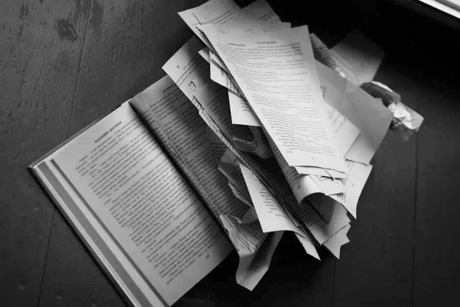 #17 - The Student Thesis That No One Ever Cited (Image Credits: Pexels)