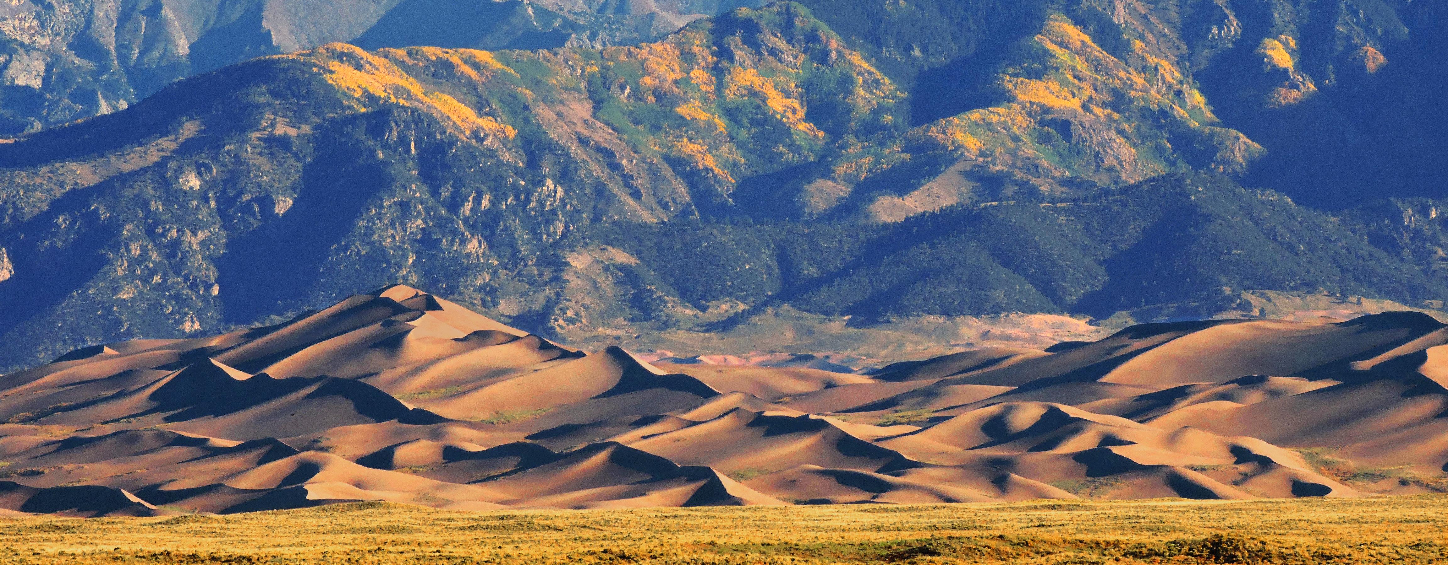 The Hidden Clues (Image Credits: Wikimedia)