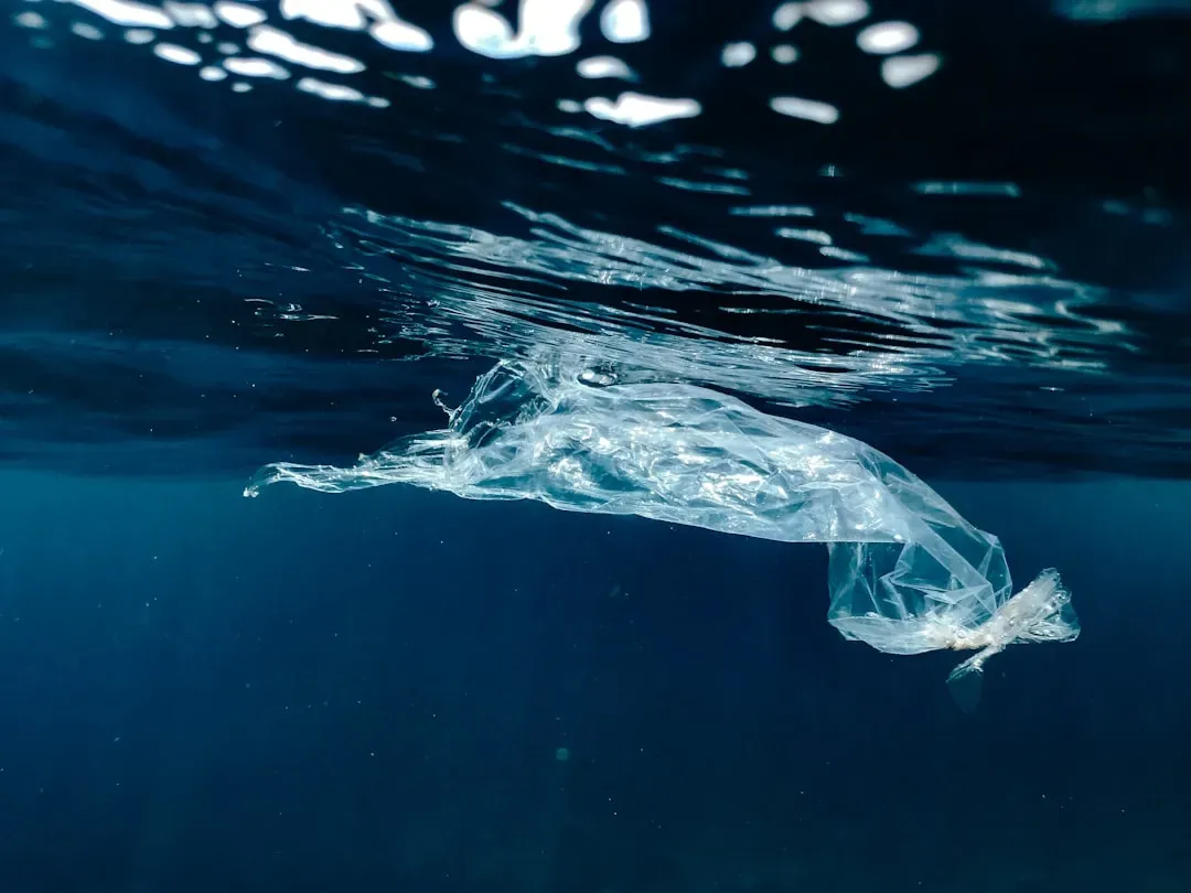 1. Plastic Bags Found in the Mariana Trench (Image Credits: Unsplash)