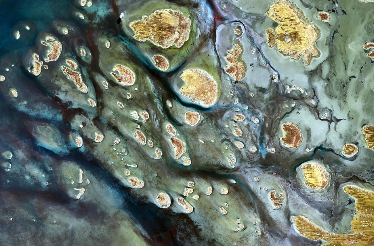 The Future Landscape (Image Credits: Rawpixel)