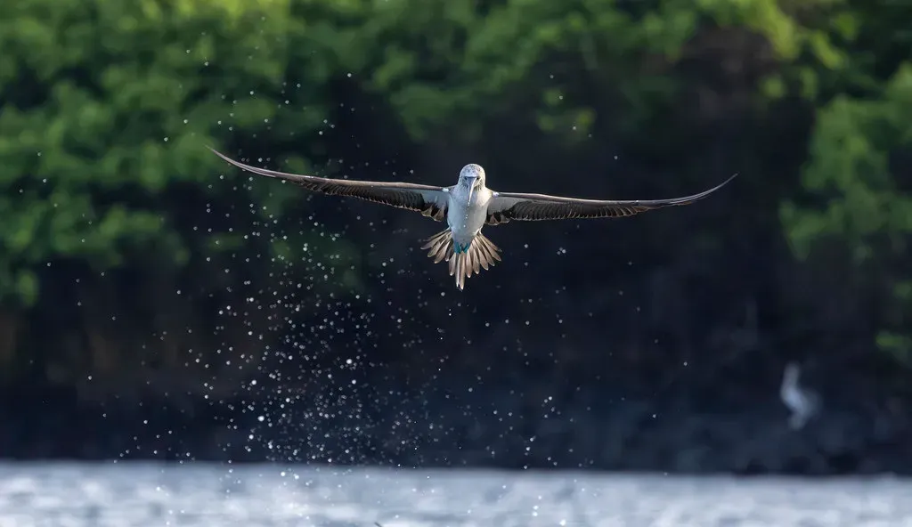 2. Evolution by Natural Selection: Life Without a Script (Image Credits: Flickr)