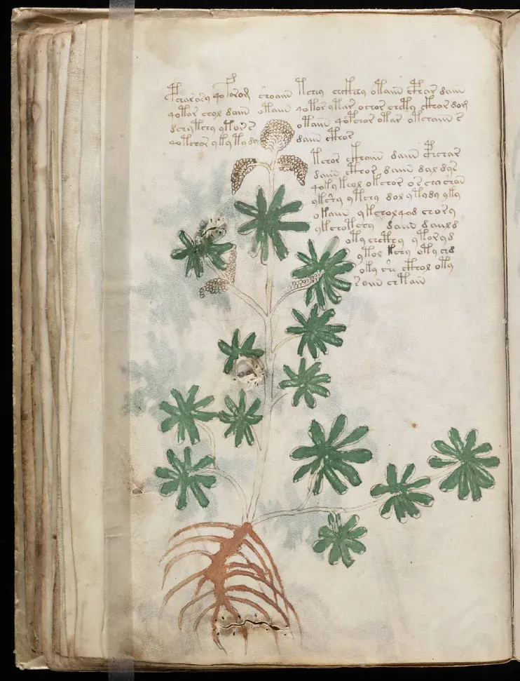#8 - The Voynich Manuscript's Unbreakable Code (Image Credits: Flickr)