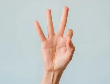 The Gesture-First Theory: Language Began With Hands, Not Tongues (Image Credits: Pexels)