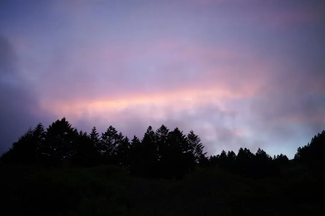 7. Mysterious Sky Trumpets and Hum Sounds (Image Credits: Unsplash)