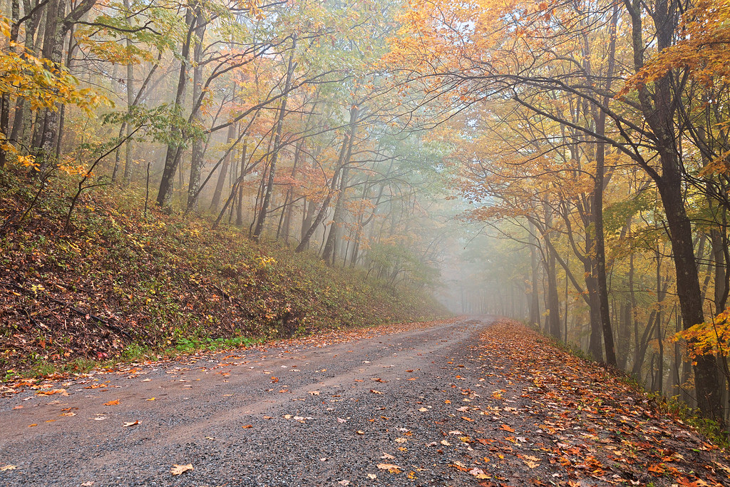 October - The Mystic Gales (Image Credits: Flickr)