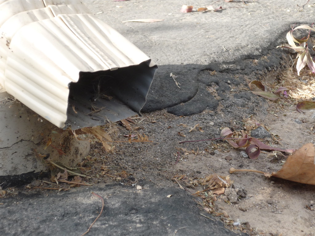 Scientific Treasures from Everyday Locations (Image Credits: Flickr)