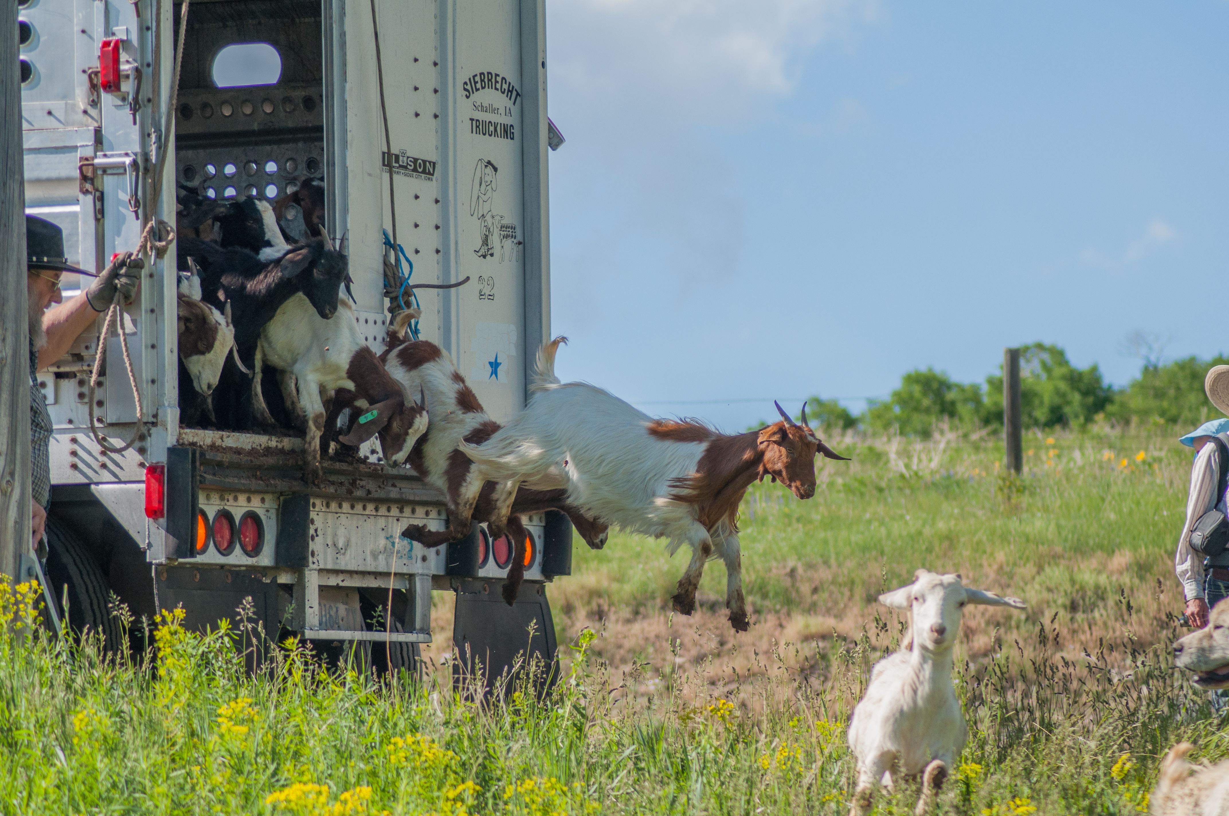 Global Perspectives (Image Credits: Wikimedia)