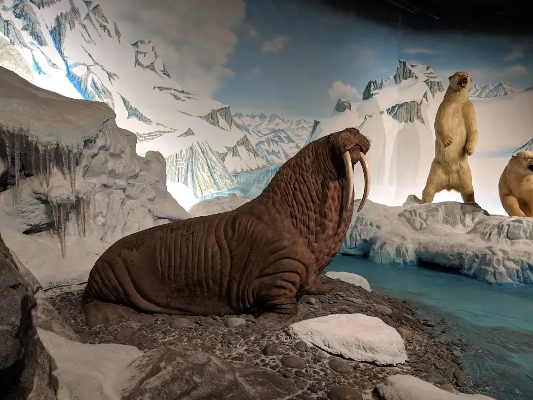 #5 - The Megafauna Debate That Refuses to Resolve (Image Credits: Unsplash)