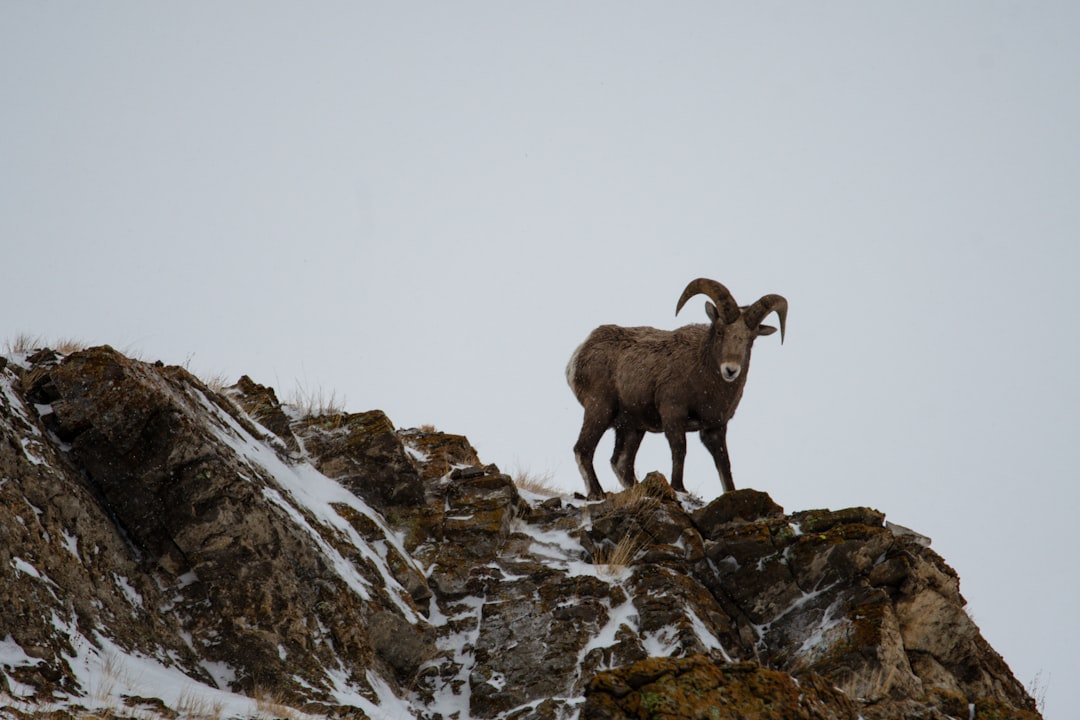 Rocky Mountain National Park, Colorado (Image Credits: Unsplash)