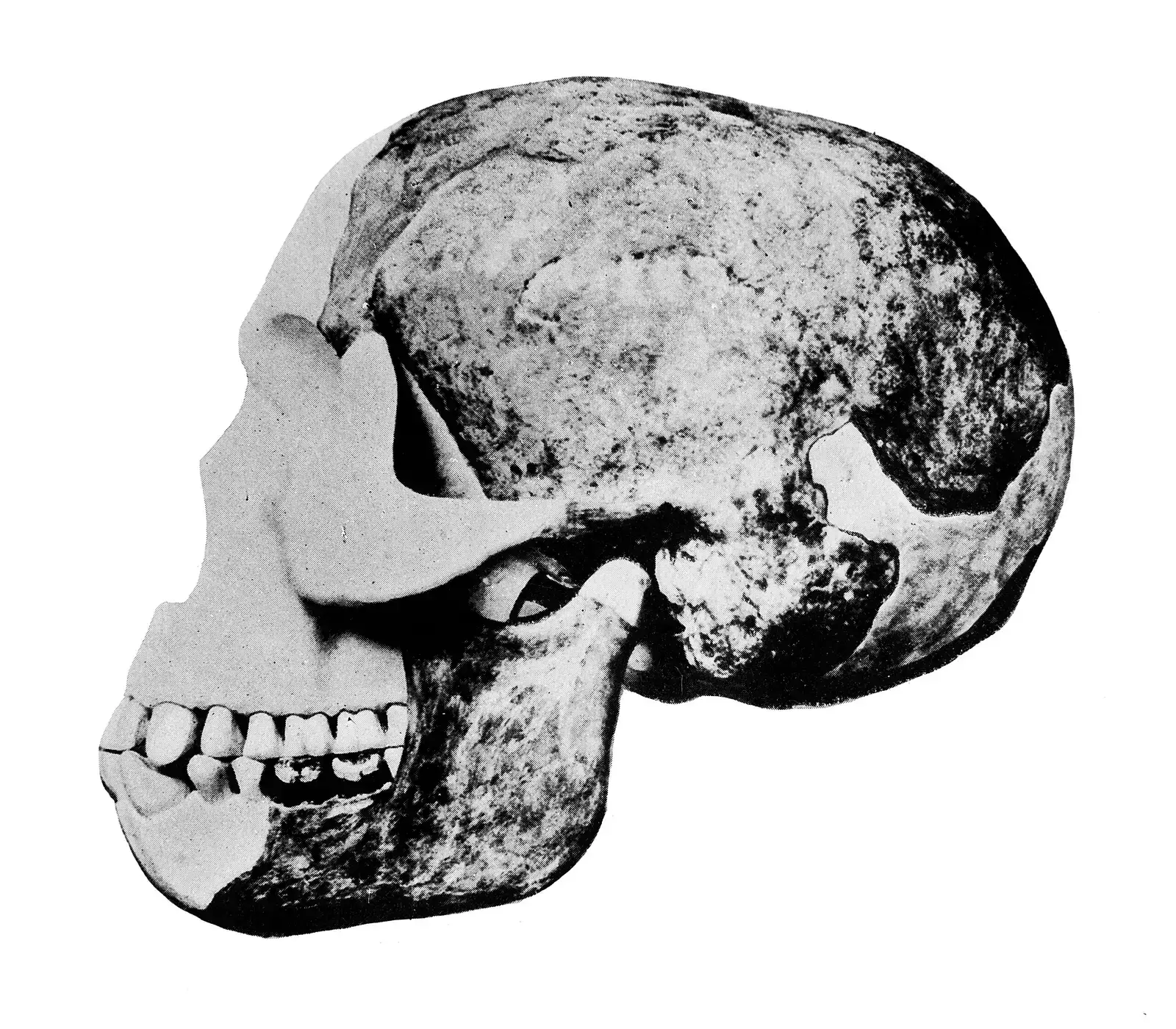 #1 - The Piltdown Pattern: Why Hoaxes Keep Winning (CC BY 4.0)