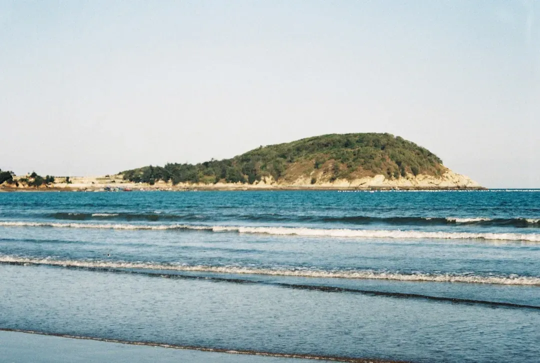 Why It Matters: Manatees as Coastal Barometers (Image Credits: Unsplash)