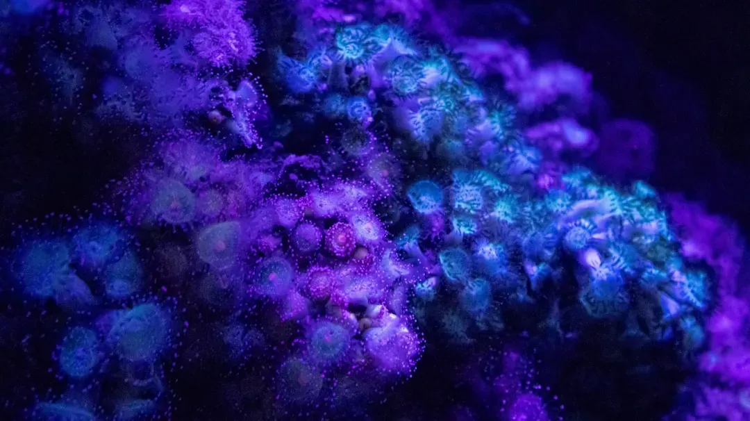 Bioluminescent Bacteria Are Tiny, But Their Impact Is Huge (Image Credits: Unsplash)