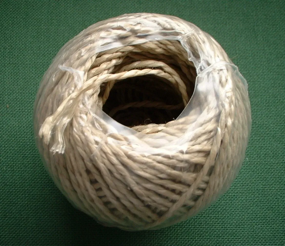 #4 Divided Twine Samples in Queensland (Digitalkamera FinePix A201, Public domain)